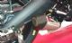 Serket Taper Scorpion Exhaust can - Stainless